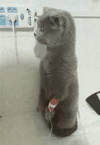 30张罕见图片：最美伴娘团，有纹身的最顶，你们觉得呢？