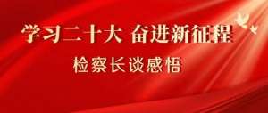 杨菲菲(杨菲菲： 学深悟透笃行 奋力实干争先 在新时代新征程上贡献志丹检察力量)