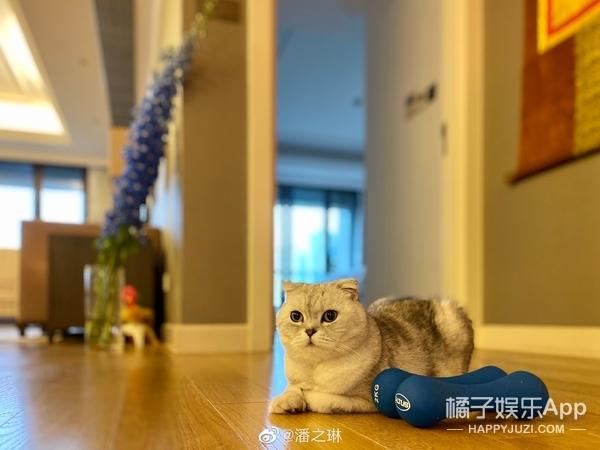 还记得《一不小心爱上你》中的秦米粒吗？她现在长这样