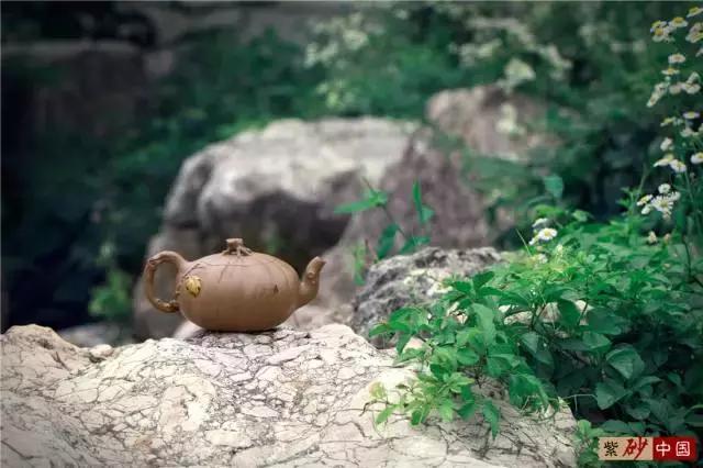 读｜《子辰》石燕·〔原创新作〕