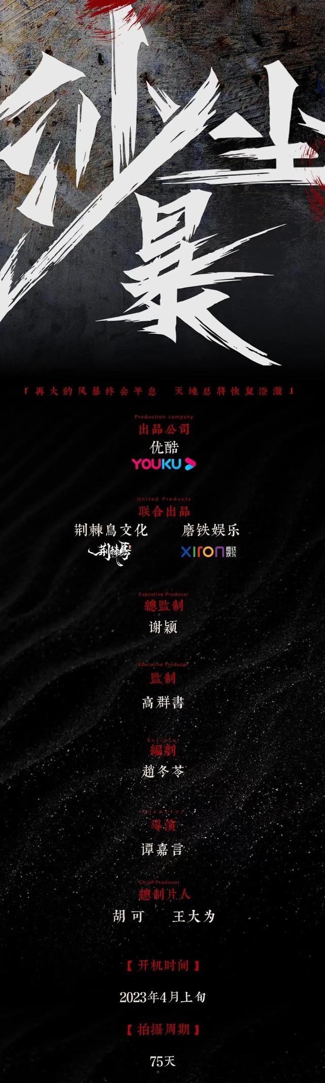 段奕宏、王锵、 张佳宁主演的悬疑刑侦剧《沙尘暴》剧情详解