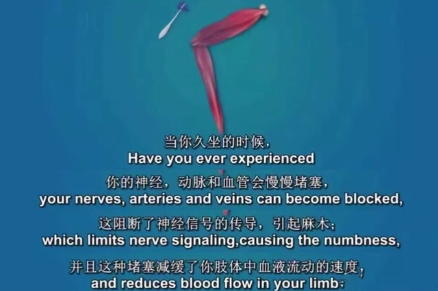 冷知识:白敬亭腰围竟然比雷佳音头围还要小?