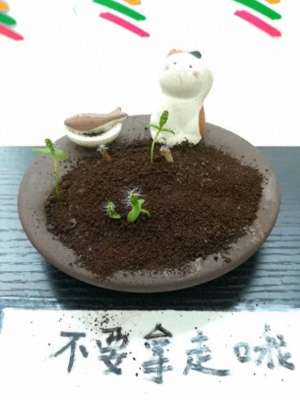 欲望的果实(贪吃，是一种埋在内心和肚腹的原始欲望)