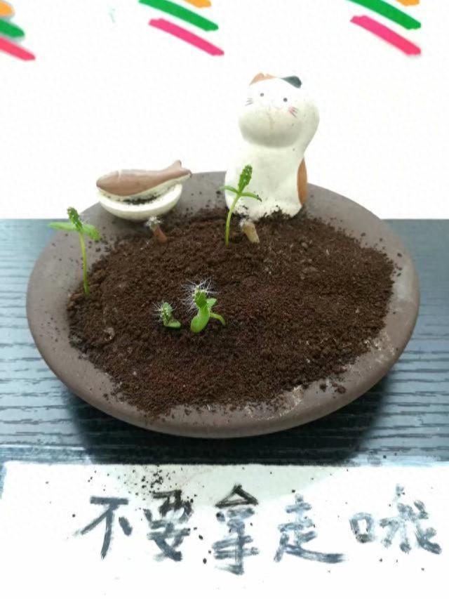 贪吃，是一种埋在内心和肚腹的原始欲望