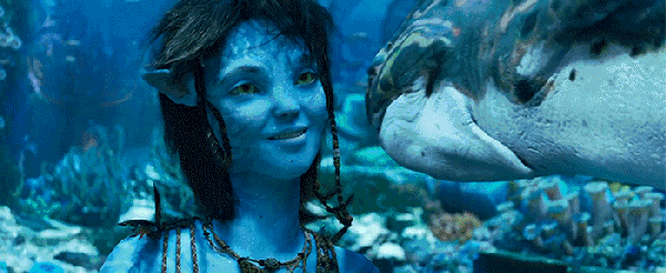 《阿凡达2》为啥这么贵？点映场后，影院给出一笔账丨顶端100℃