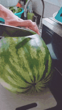 30张罕见图片：最美伴娘团，有纹身的最顶，你们觉得呢？