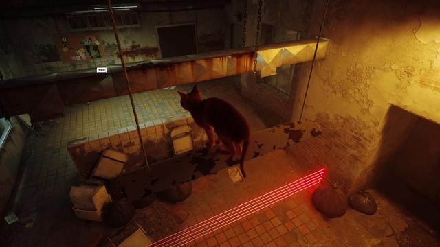 《Stray》评测：竟然有游戏如此明目张胆的收割猫奴！我无法拒绝