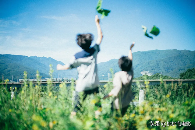 2023,我的十佳电影。