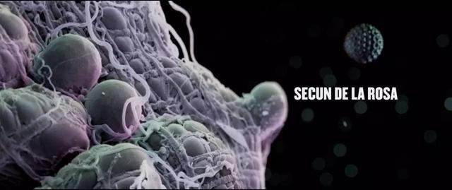 只靠「脱」，它绝对成不了票房冠军