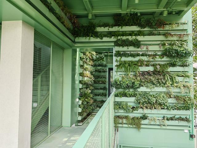 上海滨水宝藏打卡点，竟是社区服务站