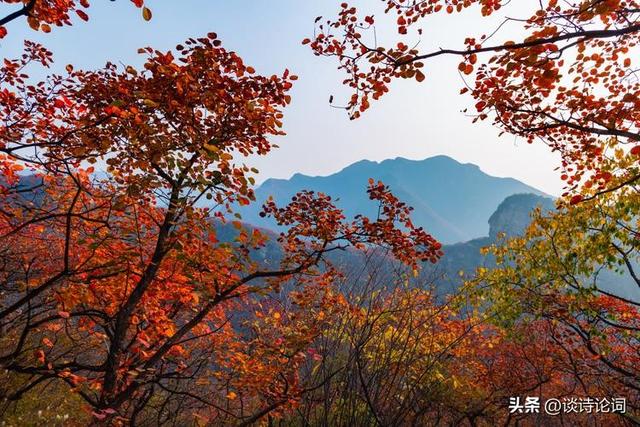 榜眼才子的七律，对仗工整，意境清幽，令人称赞不已