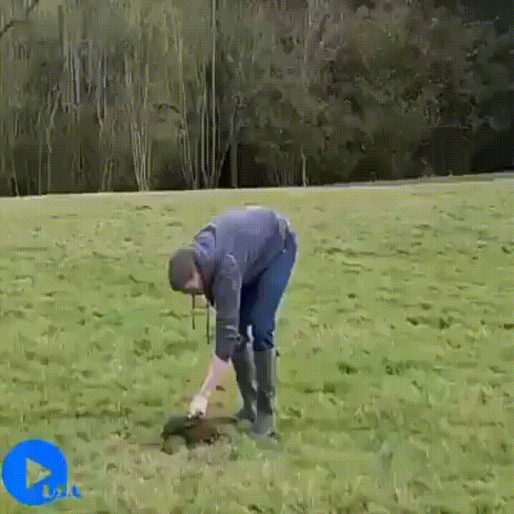 30张罕见图片：最美伴娘团，有纹身的最顶，你们觉得呢？