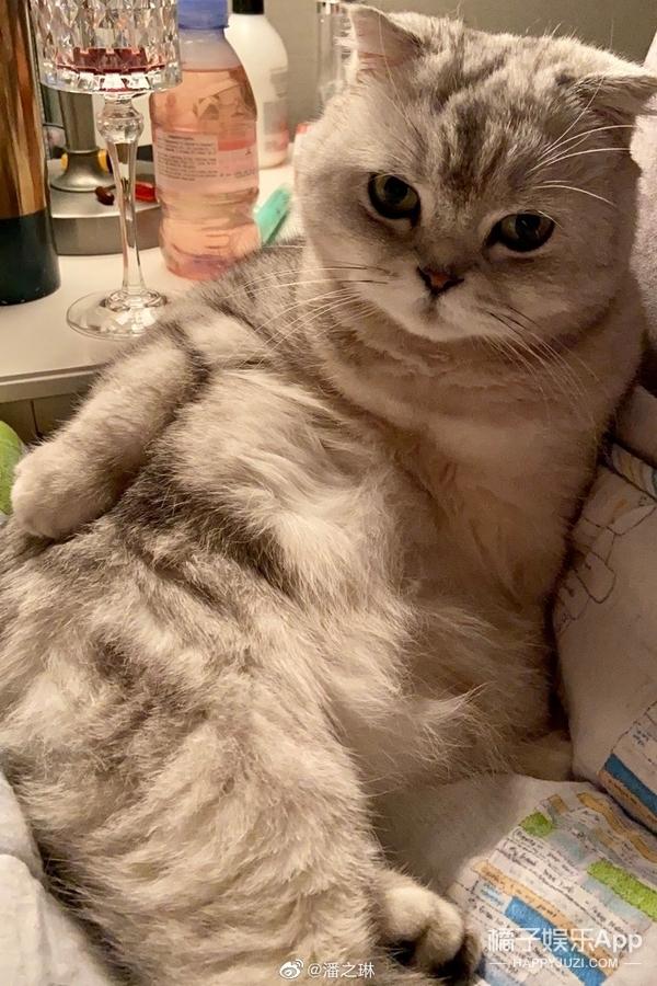 还记得《一不小心爱上你》中的秦米粒吗？她现在长这样