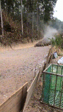 30张罕见图片：最美伴娘团，有纹身的最顶，你们觉得呢？