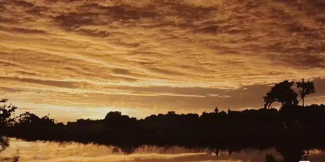 《血钻》：直面人性与欲望，揭露全世界最大