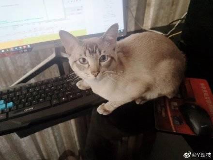 在家办公，全面翻车