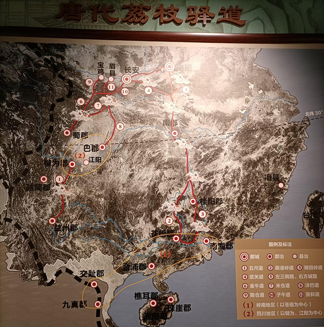 一分钟读马伯庸《长安的荔枝》：就算是失败，也要知道离成功多远