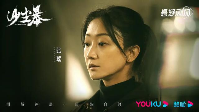 段奕宏、王锵、 张佳宁主演的悬疑刑侦剧《沙尘暴》剧情详解