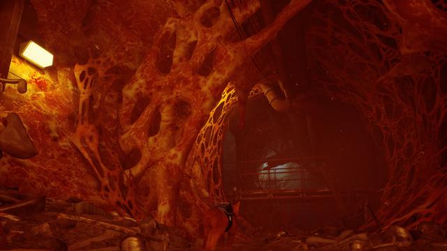 《Stray》评测：竟然有游戏如此明目张胆的收割猫奴！我无法拒绝