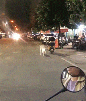 30张罕见图片：最美伴娘团，有纹身的最顶，你们觉得呢？