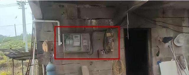 养鱼户偷电被罚32万,一气之下杀了供电所长再自首,谁更怨?