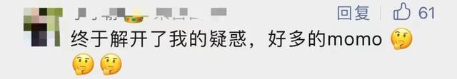 “momo是谁”刷屏,网友提醒