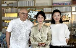 曾湉(徐俐王凯曾湉罕见同框直播，曾湉辞职8年首次出镜却刻意不提央视)