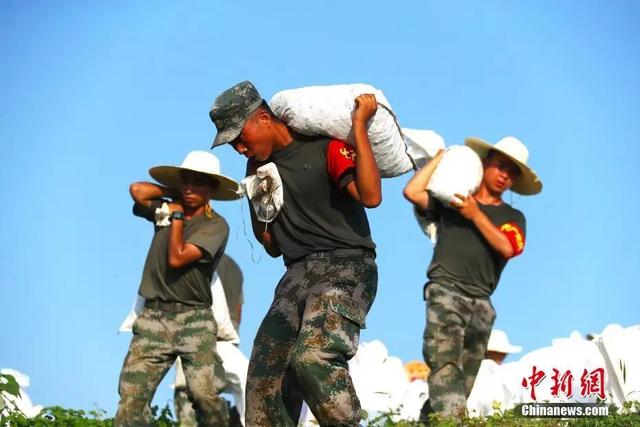 他们的“勋章”让人太心疼！幸好“应援团”来了