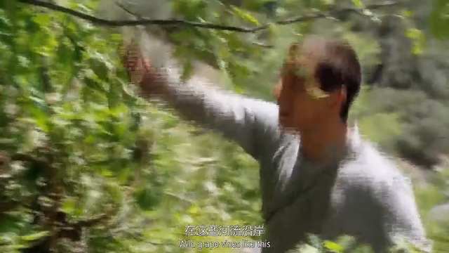 荒野求生第一季第七集(3) #贝爷