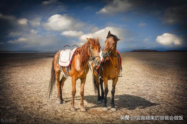 《黑暗圣经》：读到第三页解救了挣扎7年的自我消耗