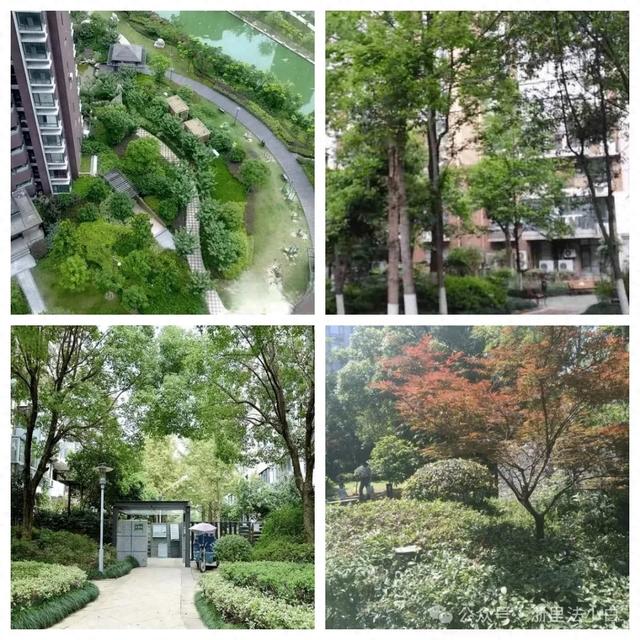 小区“绿战”：高层与底层的光影之争