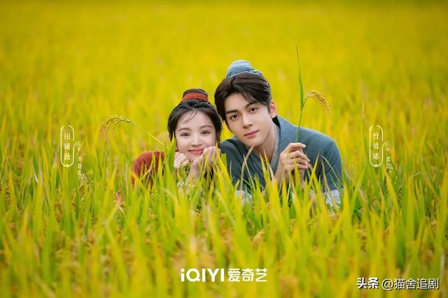 8部穿越重生古装剧，剧情一部比一部精彩，最后一部穿越封神之作