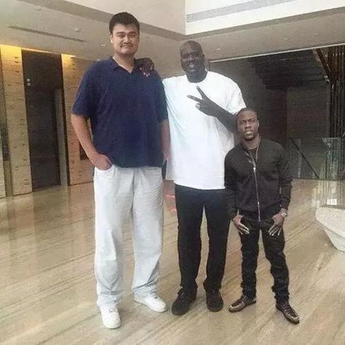 不看照片不知道，姚明身材有多恐怖！奥尼尔在旁边也小鸟依人