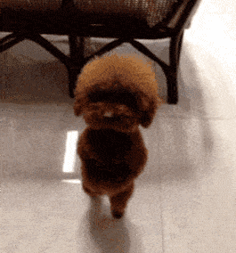 30张罕见图片：最美伴娘团，有纹身的最顶，你们觉得呢？