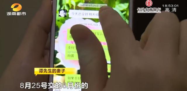 女租客突然离去,房东直呼恐怖:房内遗弃十余只猫,垃圾遍地、恶臭难闻……