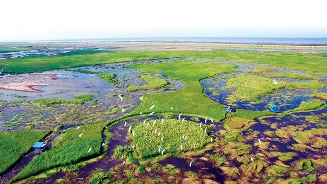 “为‘美丽中国’增色添彩”——对话上海园林(集团)有限公司董事长张勇伟