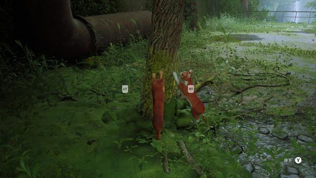 《Stray》评测：竟然有游戏如此明目张胆的收割猫奴！我无法拒绝