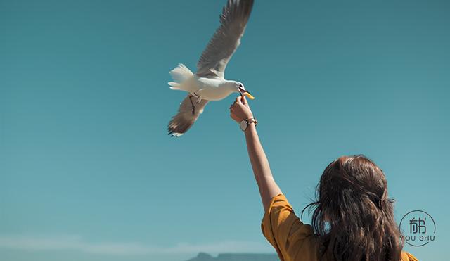 看清这3个婚姻真相，嫁给谁都幸福