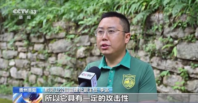 暑假去哪玩儿?“表演型”豚尾猴、休闲邮轮游等你来打卡