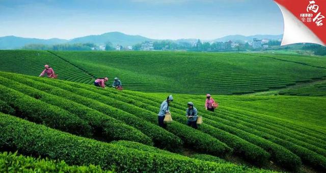 数据看中国｜决战脱贫在今朝！全面建成小康社会 一个民族都不能少