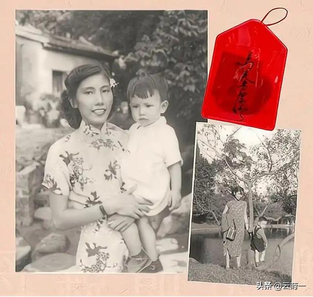 林正英:3拒苑琼丹求婚,死后却给她留下1000万遗产,一生太凄苦