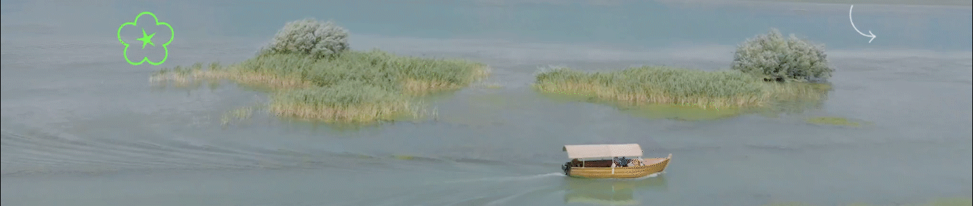 林正英:3拒苑琼丹求婚,死后却给她留下1000万遗产,一生太凄苦