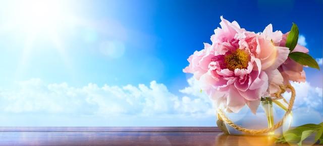 独一份的爱，无可替代