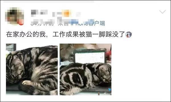 在家办公，全面翻车