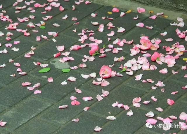 小楼谭诗|(读诗心解之四) 简约与繁复「谭汝为」