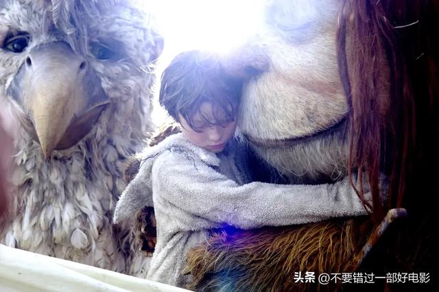 渐入心灵的推荐电影之一，淡淡的，暖暖的，能打动人的电影合辑