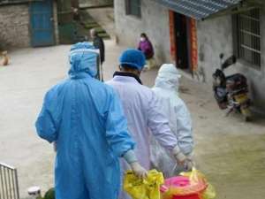 接茬儿(一位防疫一线村支书的春节)