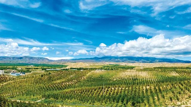 “为‘美丽中国’增色添彩”——对话上海园林(集团)有限公司董事长张勇伟