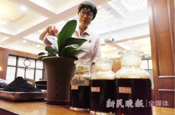 今日焦点|垃圾分类开启“美丽重生”