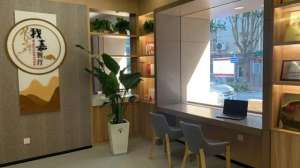 哈灵(哈灵自带“滤镜”的居家式邻里空间让人弹眼落睛)